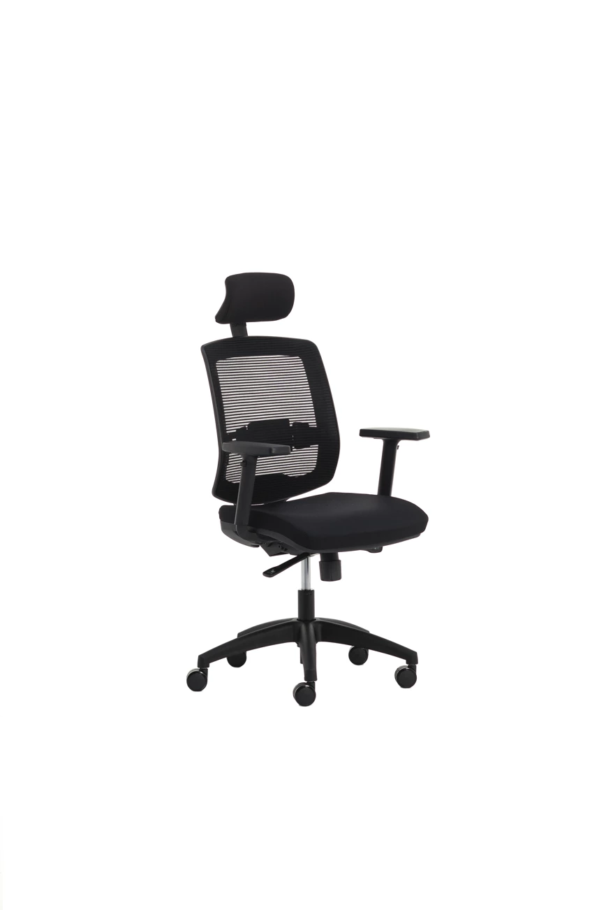 Fauteuil Ergonomique
