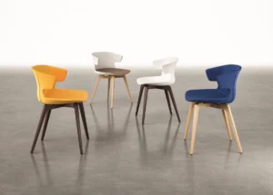 Fauteuil Polyvalent